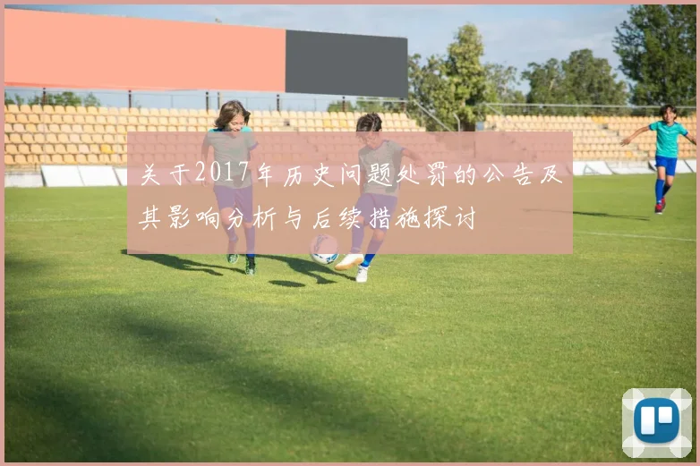 关于2017年历史问题处罚的公告及其影响分析与后续措施探讨