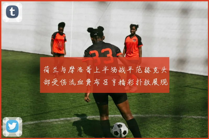 荷兰与摩洛哥上半场战平范赫克头部受伤流血费布吕亨精彩扑救展现实力